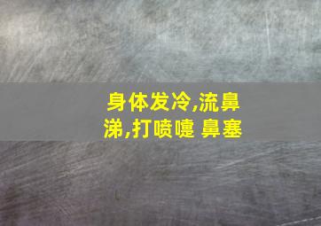 身体发冷,流鼻涕,打喷嚏 鼻塞